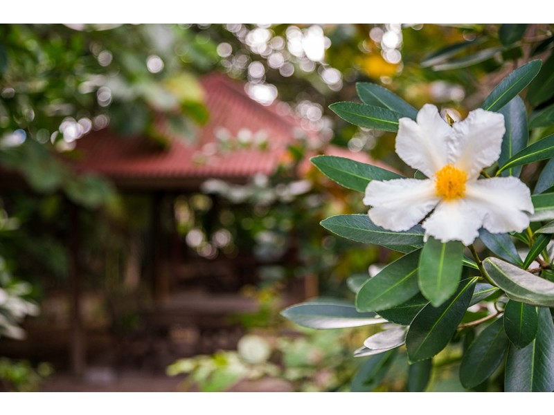 2-4 Mogo Place, Billinudgel NSW 2483