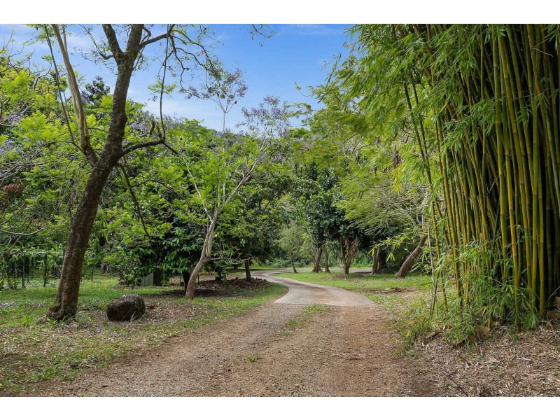 4/231 Fowlers Lane, Bangalow NSW 2479