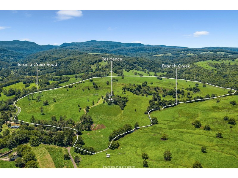 390 Terania Creek Road, The Channon NSW 2480