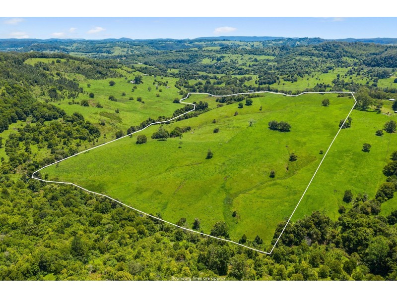 390 Terania Creek Road, The Channon NSW 2480