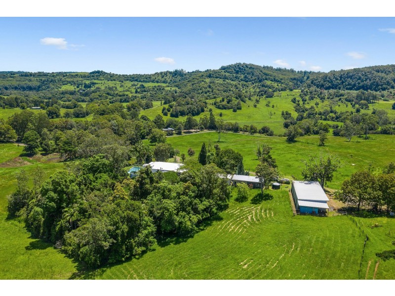 390 Terania Creek Road, The Channon NSW 2480