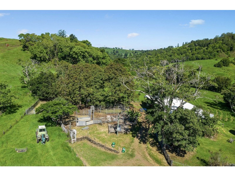 390 Terania Creek Road, The Channon NSW 2480