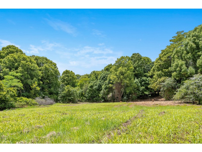 167 Sheaffes Road, Goonengerry NSW 2482