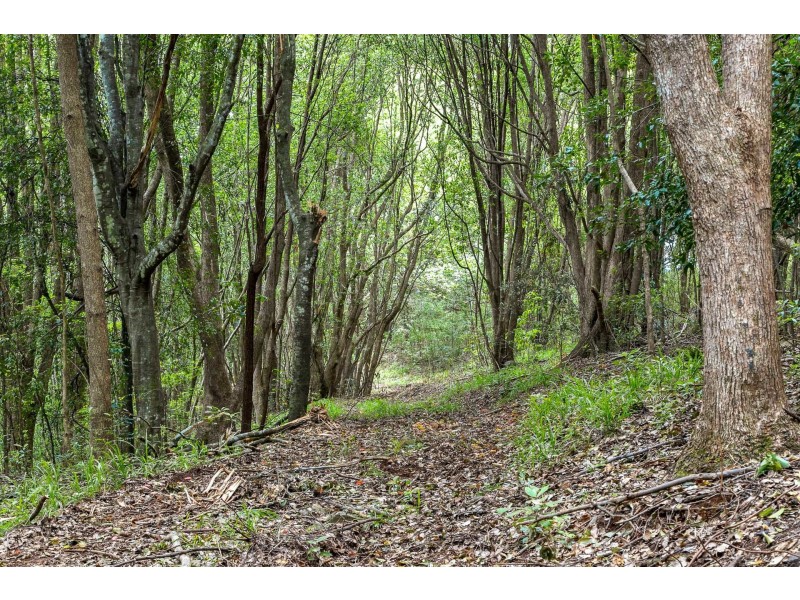 167 Sheaffes Road, Goonengerry NSW 2482