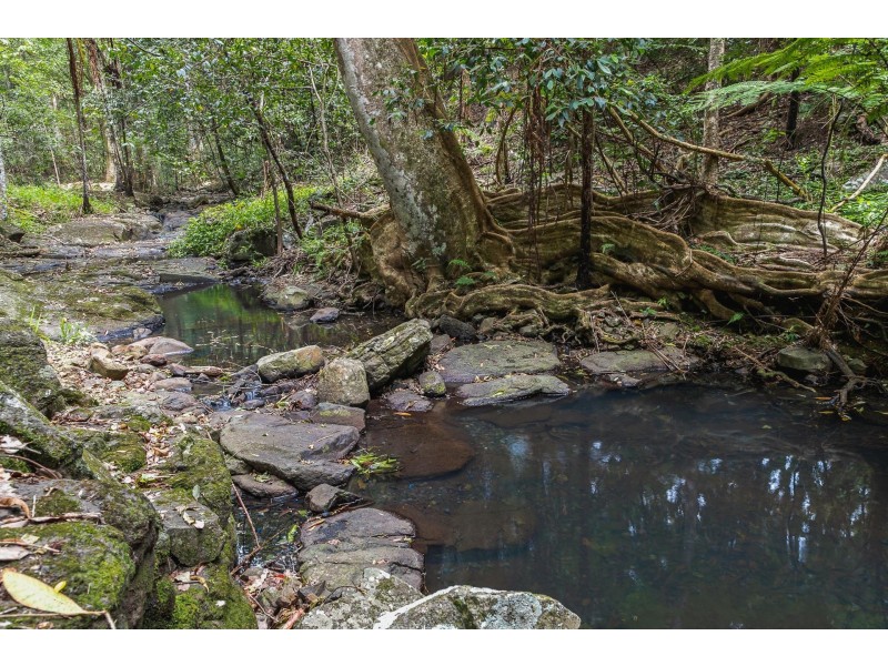 167 Sheaffes Road, Goonengerry NSW 2482