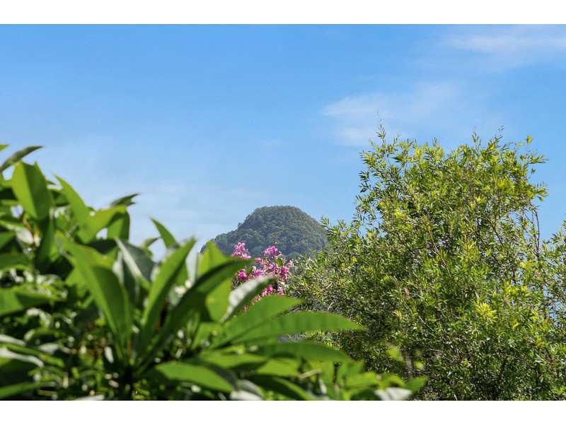 15 Gardenia Court, Mullumbimby NSW 2482