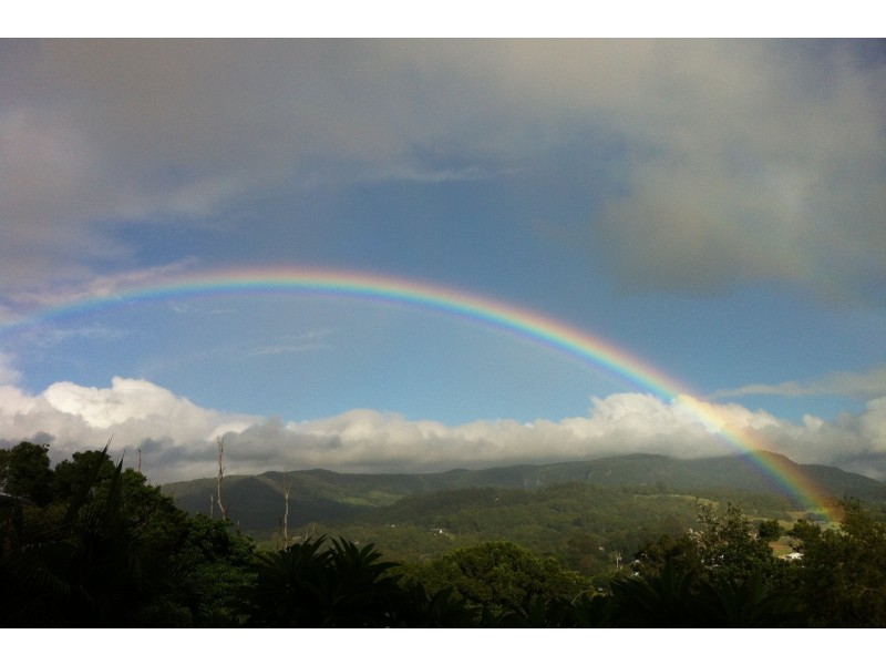 15 Gardenia Court, Mullumbimby NSW 2482