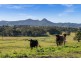48 Myocum Ridge Road, Myocum NSW 2481