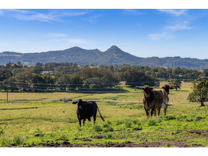 48 Myocum Ridge Road, Myocum NSW 2481