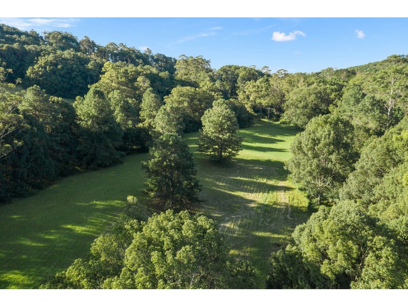 602 Friday Hut Road, Possum Creek NSW 2479