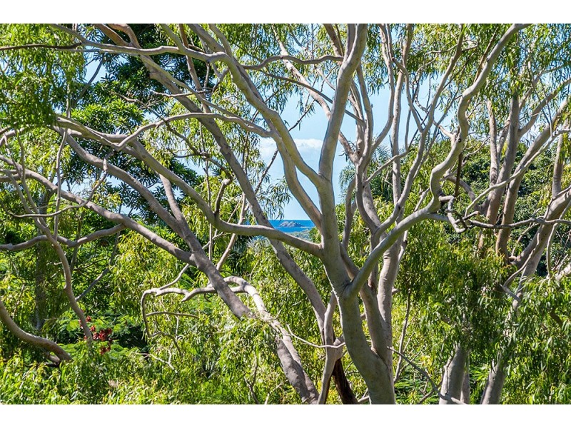 25 Bay Vista Lane, Ewingsdale NSW 2481