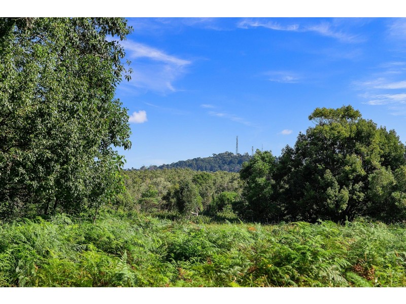 310 Ewingsdale Road, Byron Bay NSW 2481