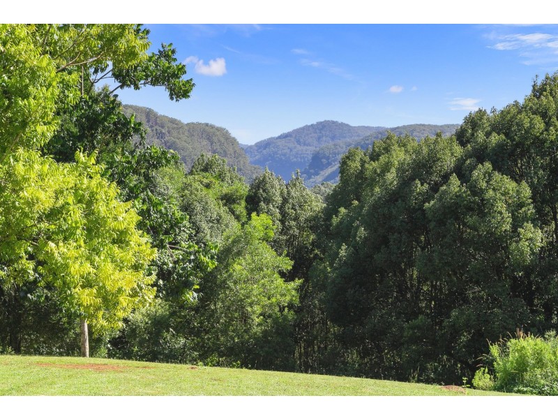 62 Tickles Road, Upper Coopers Creek NSW 2482