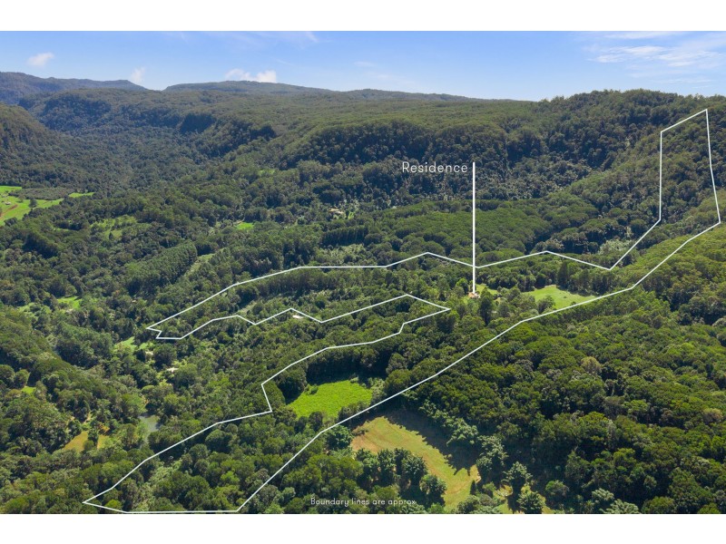 62 Tickles Road, Upper Coopers Creek NSW 2482