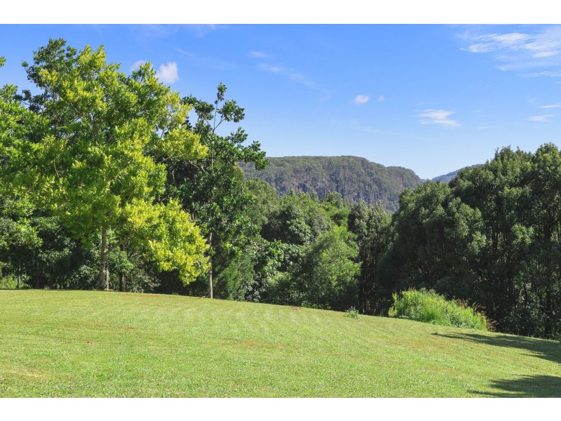 62 Tickles Road, Upper Coopers Creek NSW 2482