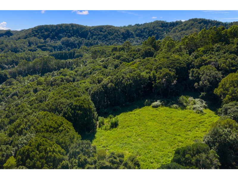 62 Tickles Road, Upper Coopers Creek NSW 2482