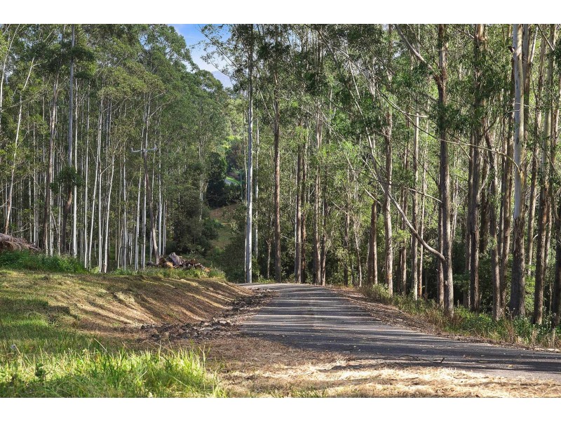 2033 Coolamon Scenic Drive, Mullumbimby NSW 2482