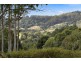 2033 Coolamon Scenic Drive, Mullumbimby NSW 2482