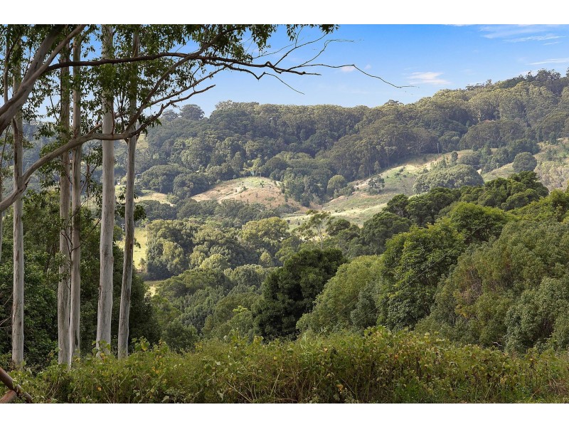 2033 Coolamon Scenic Drive, Mullumbimby NSW 2482