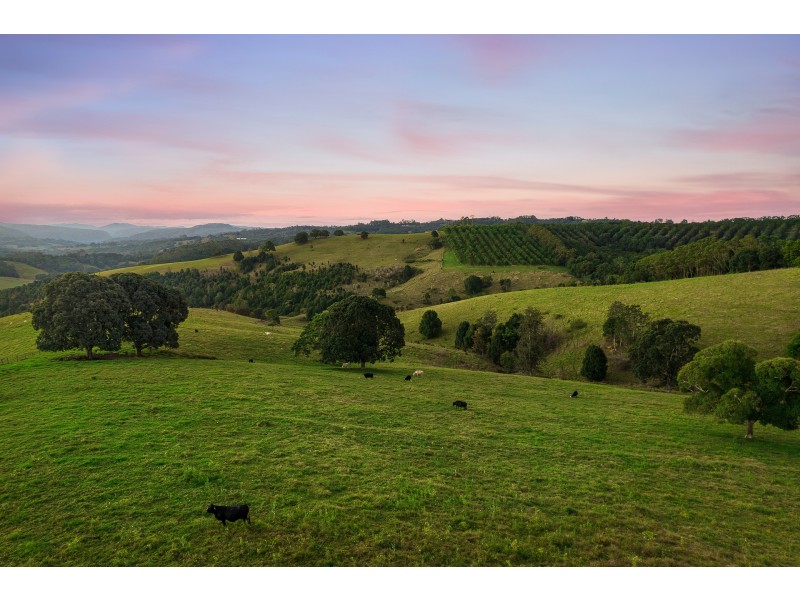 3 Federal Drive, Eureka NSW 2480