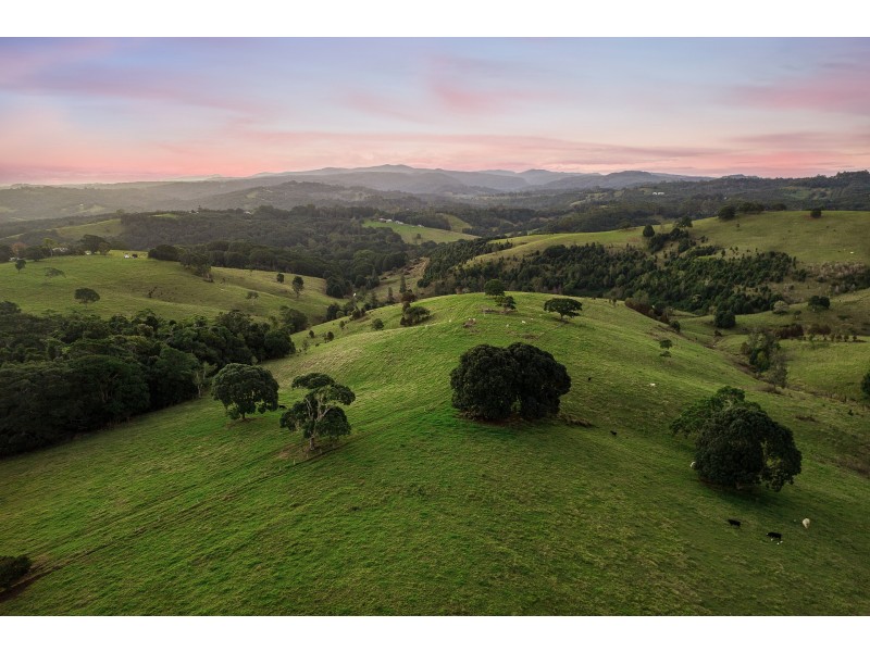 3 Federal Drive, Eureka NSW 2480