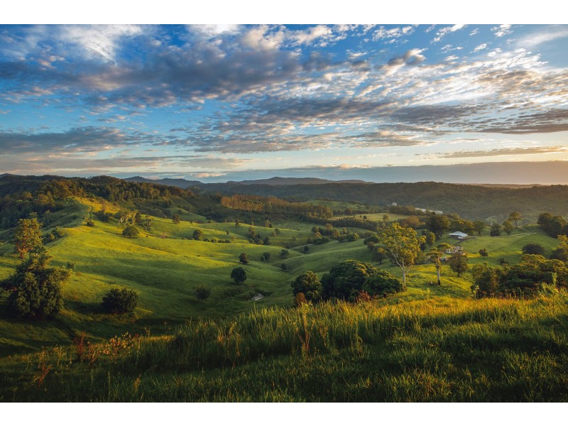 115 Arkinstall Road, Tuntable Creek NSW 2480