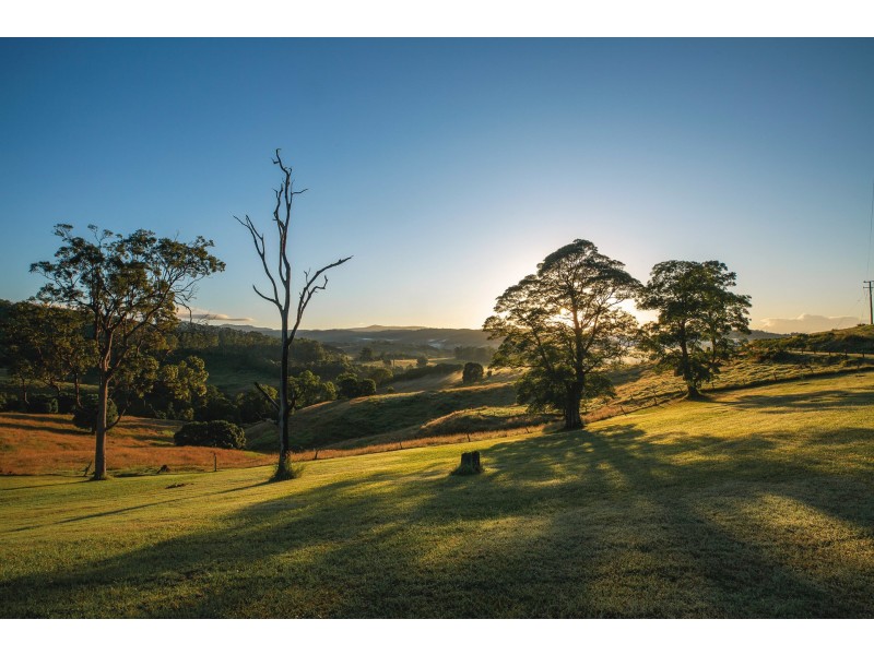 115 Arkinstall Road, Tuntable Creek NSW 2480