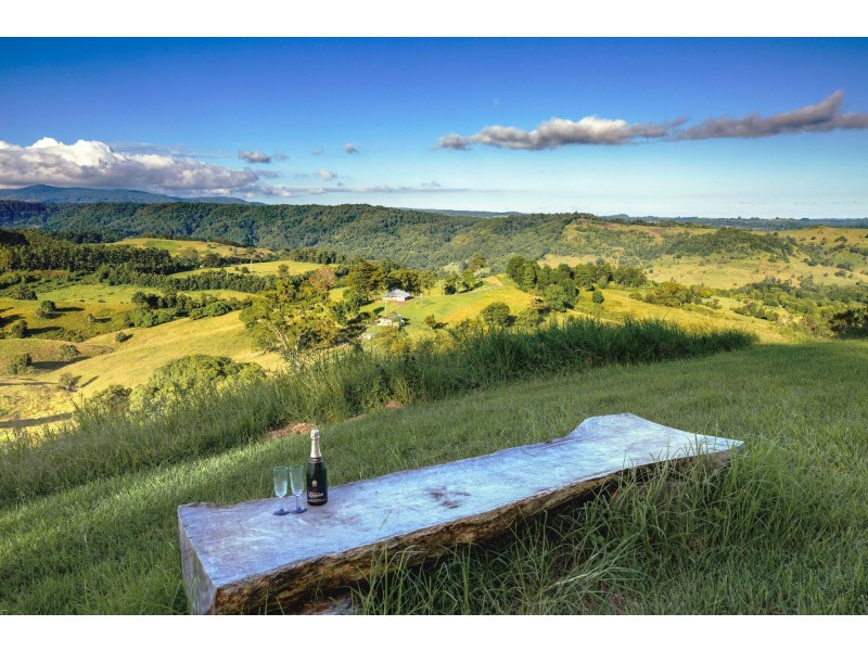 115 Arkinstall Road, Tuntable Creek NSW 2480