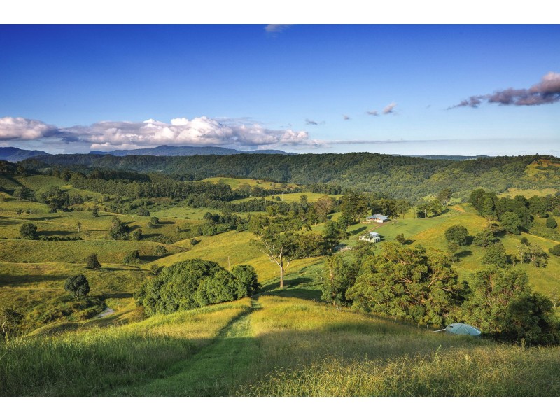 115 Arkinstall Road, Tuntable Creek NSW 2480