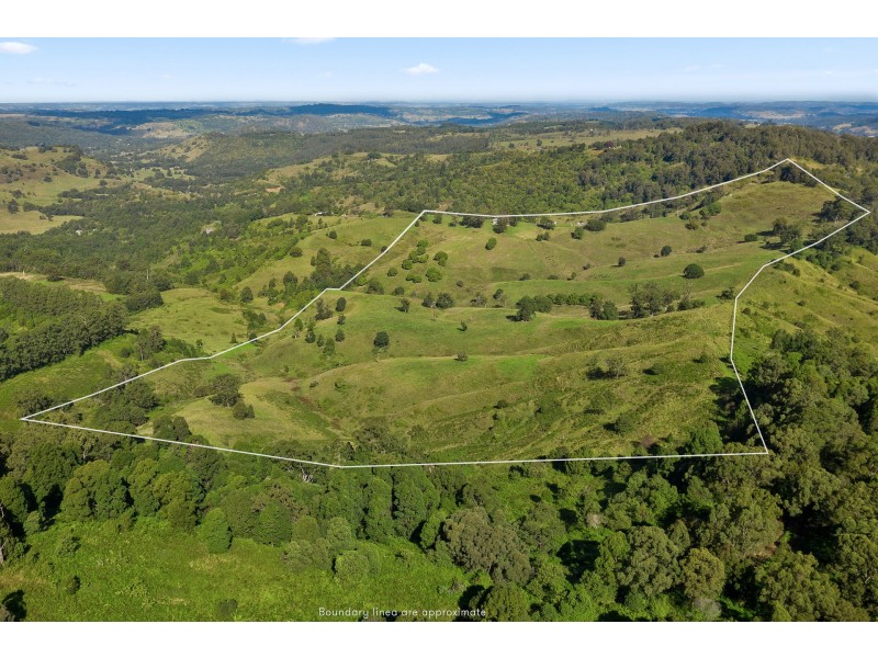 115 Arkinstall Road, Tuntable Creek NSW 2480