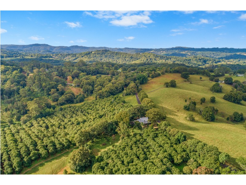 475 Rosebank Road, Rosebank NSW 2480