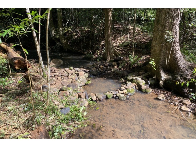 567 Friday Hut Road, Possum Creek NSW 2479