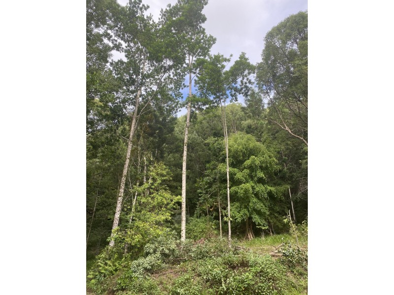 567 Friday Hut Road, Possum Creek NSW 2479