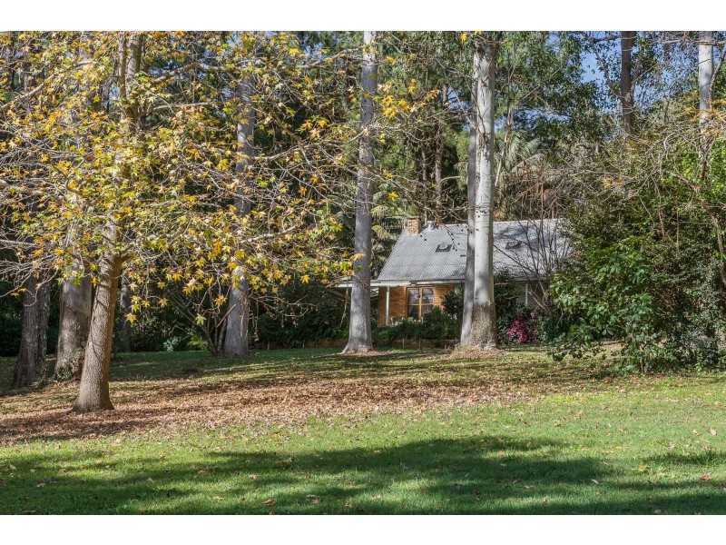 788 Friday Hut Road, Binna Burra NSW 2479