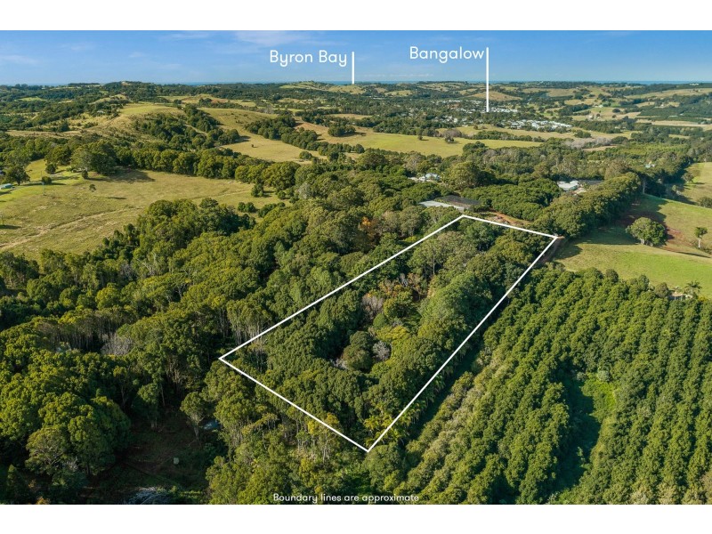 788 Friday Hut Road, Binna Burra NSW 2479