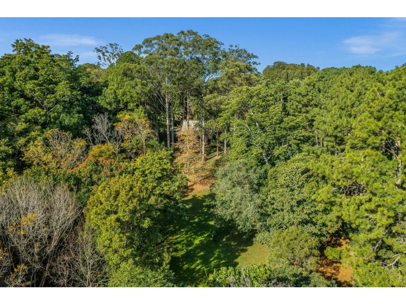 788 Friday Hut Road, Binna Burra NSW 2479
