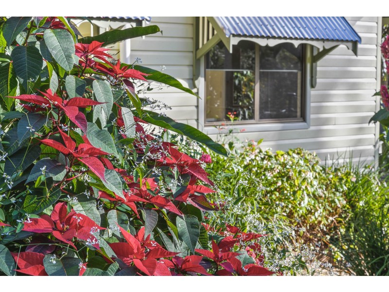 788 Friday Hut Road, Binna Burra NSW 2479