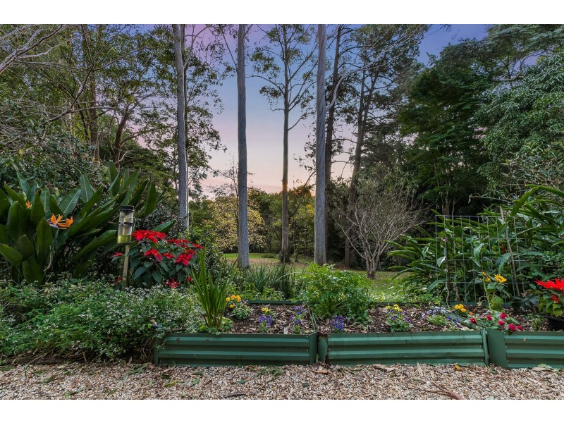 788 Friday Hut Road, Binna Burra NSW 2479