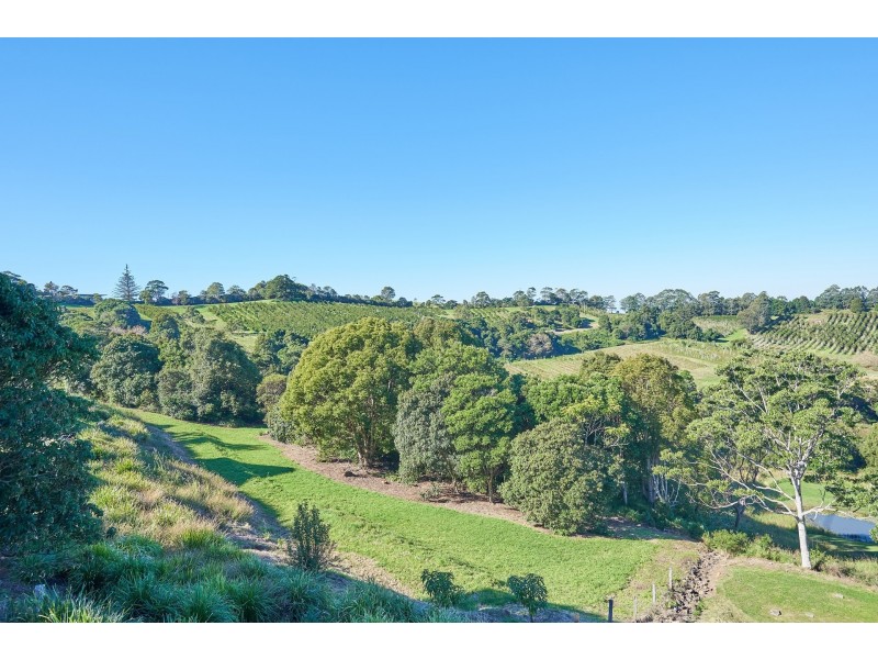 62 Kamala Court, Coopers Shoot NSW 2479