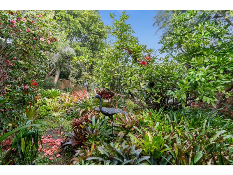 11 Gibingbell Close, Ocean Shores NSW 2483