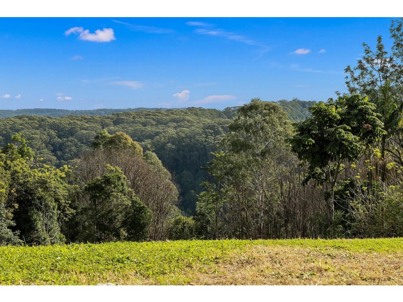 41 Goonengerry Road, Goonengerry NSW 2482