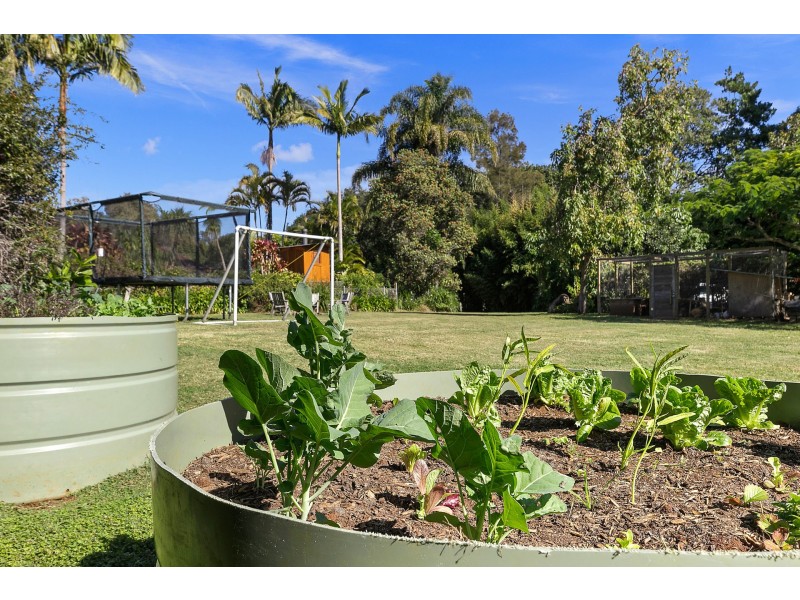 5 McInnes Lane, Tyagarah NSW 2481