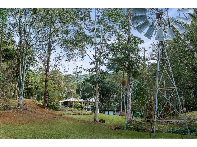 59 Tickles Road, Upper Coopers Creek NSW 2482