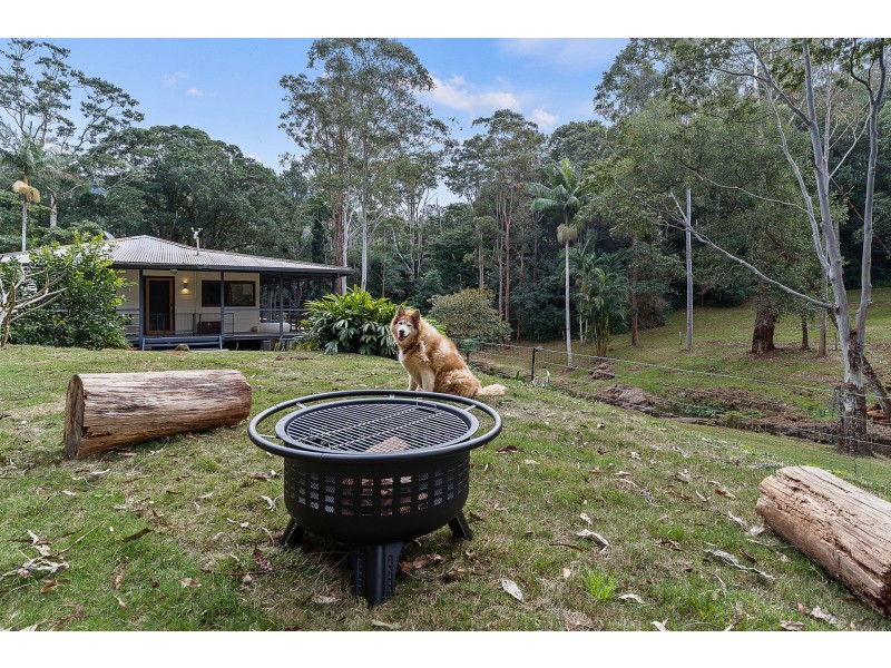 59 Tickles Road, Upper Coopers Creek NSW 2482