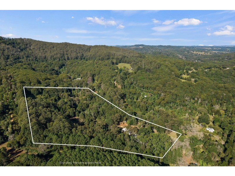 59 Tickles Road, Upper Coopers Creek NSW 2482