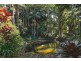 484 Coorabell Road, Coorabell NSW 2479