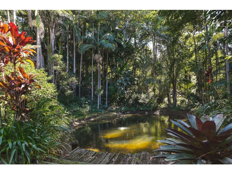 484 Coorabell Road, Coorabell NSW 2479