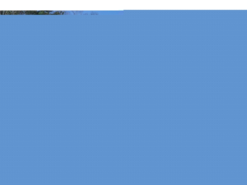 1138 Booyong Road, Clunes NSW 2480