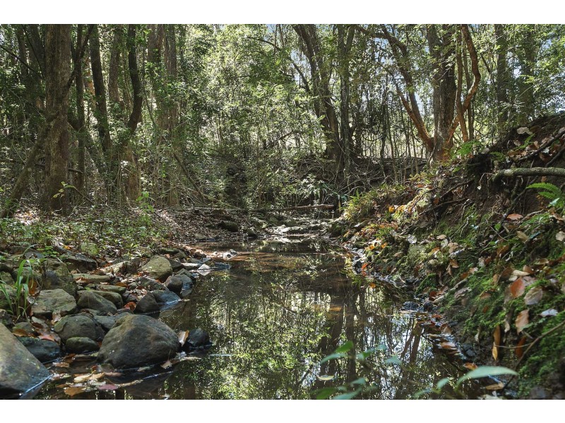 1138 Booyong Road, Clunes NSW 2480