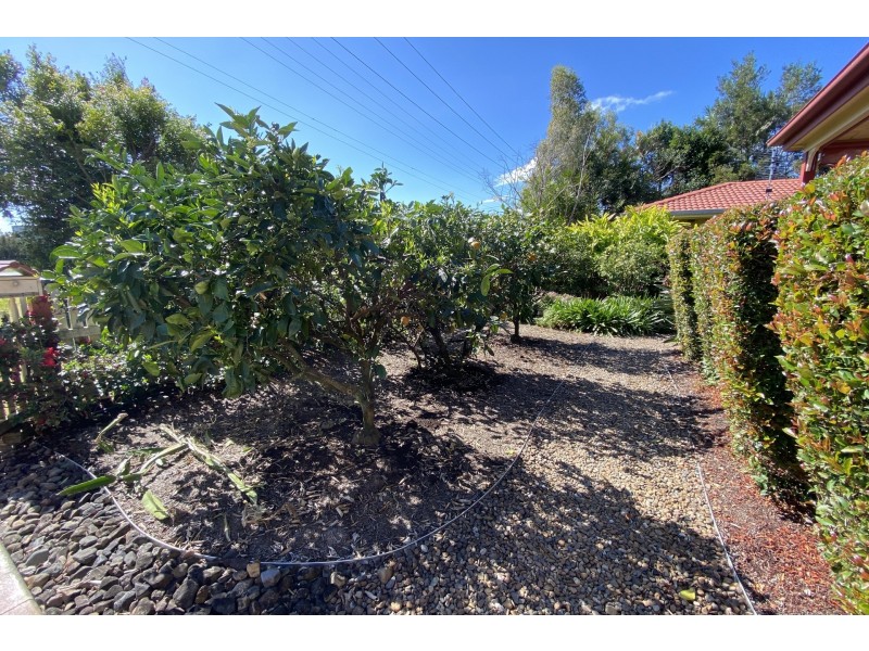 9 Fern Street, Mullumbimby NSW 2482
